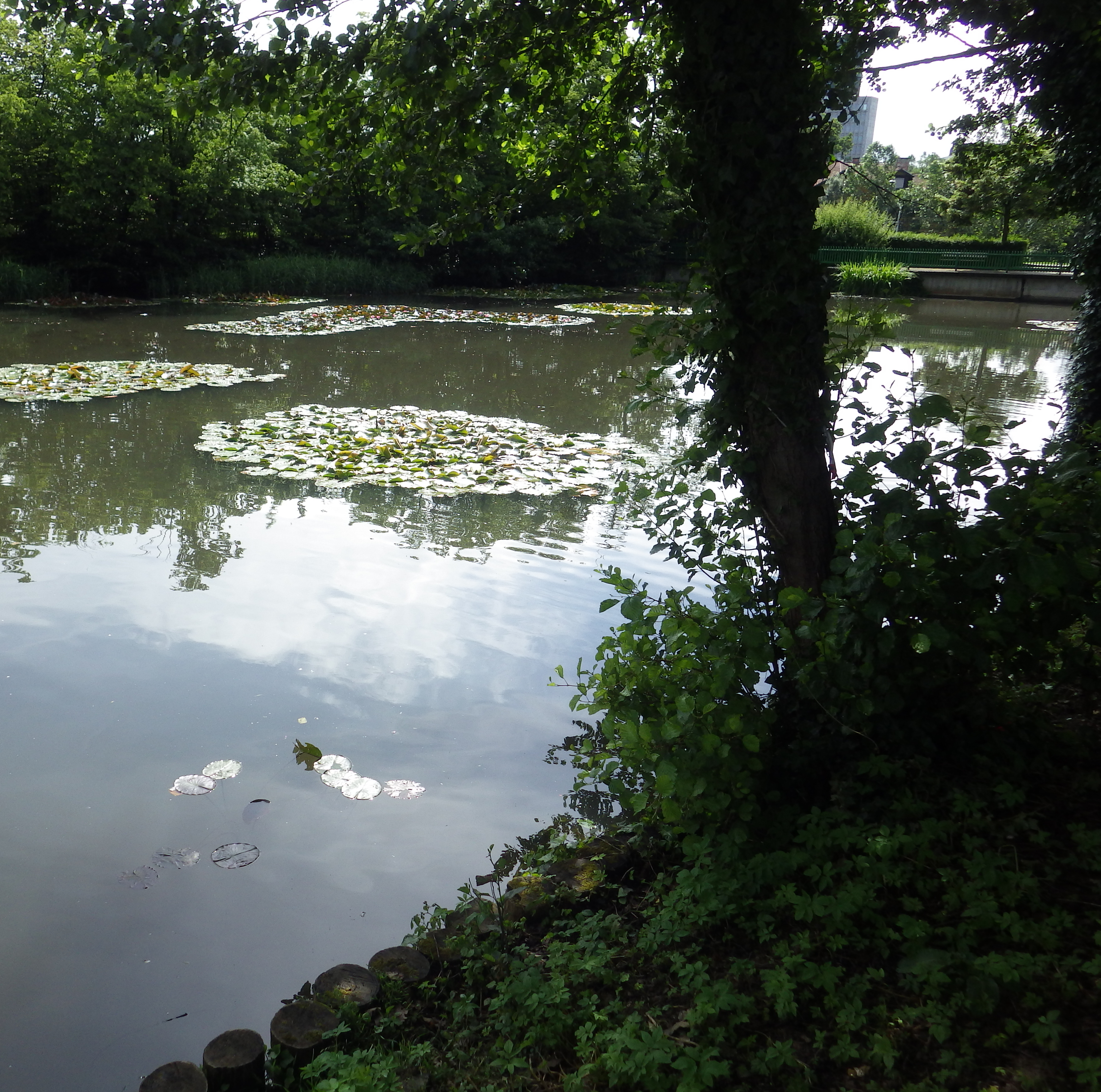 Tivoli Pond